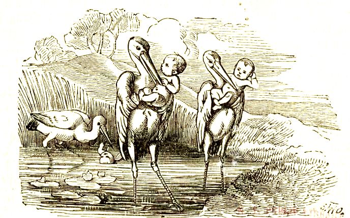stork delivering babies, Germany 1890s